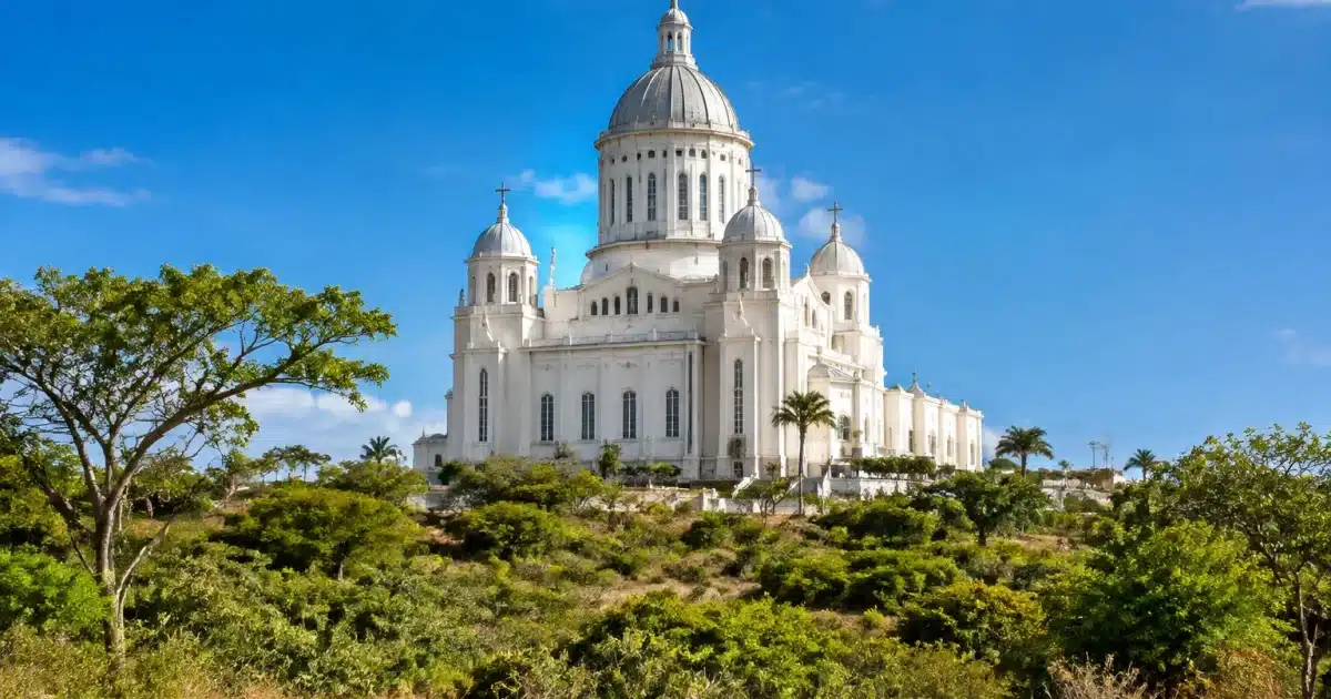 Immense basilique blanche dominant vegetation brousse africaine 1990