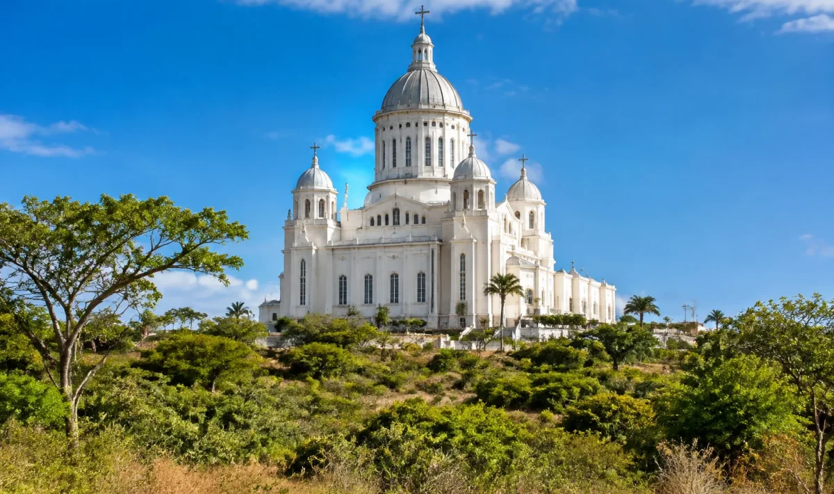 Immense basilique blanche dominant vegetation brousse africaine 1990