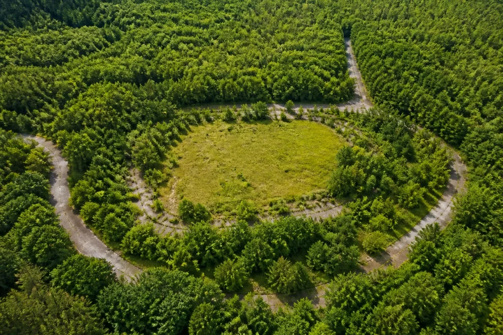 Clairière vide entourée de forêt dense avec routes bétonnées abandonnées.