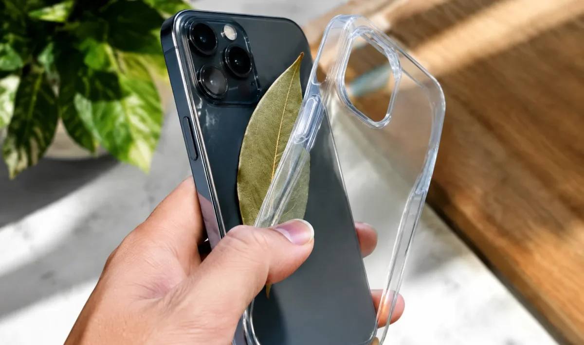 Feuille de laurier insérée entre téléphone et coque protectrice transparente