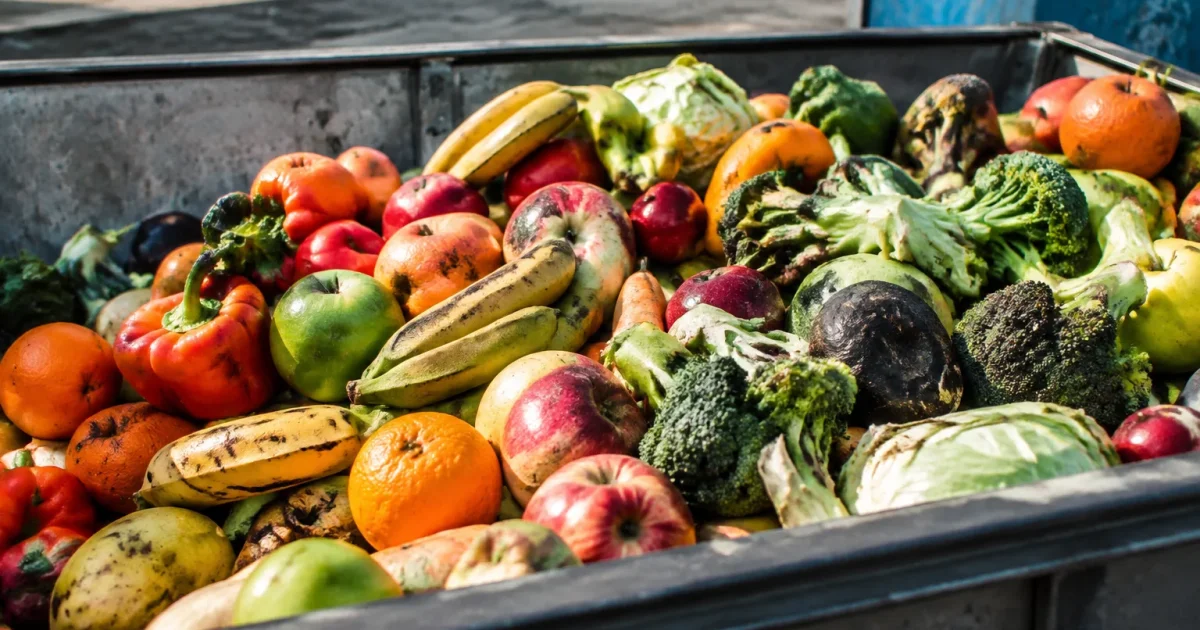 Fruits legumes abimes rejetes dans bac metal roulant
