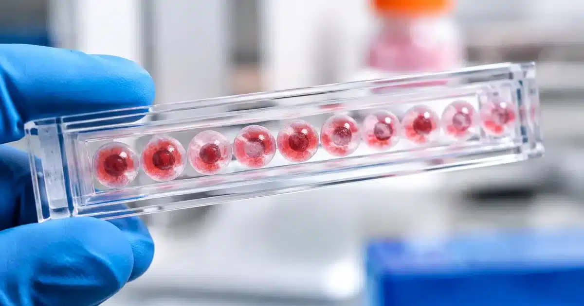 Cellules biologiques alignees dans un recipient transparent sans cables electriques
