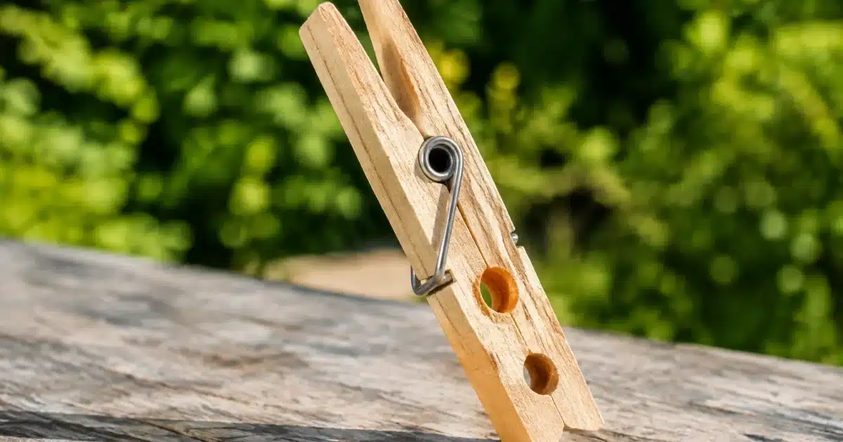 Pince a linge en bois avec deux trous visibles sur les cotes