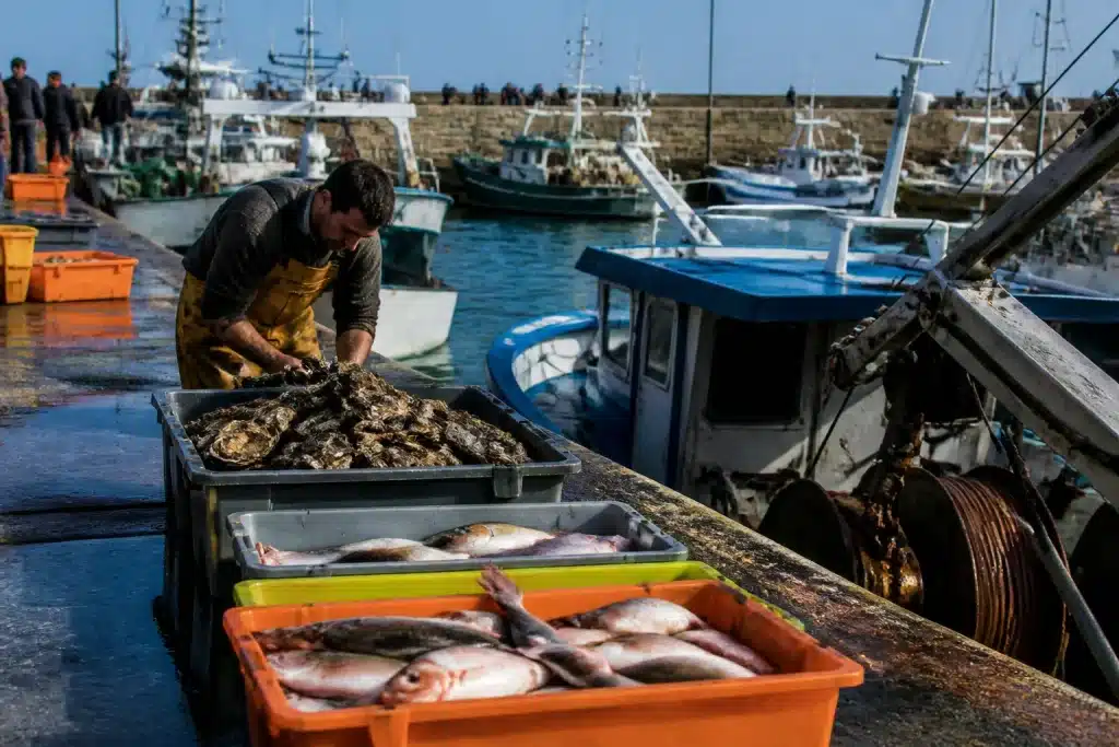 Bateaux peche modernes quai criee poissons huîtres