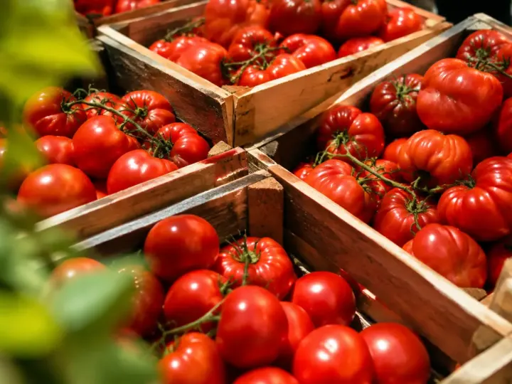 Caisses de tomates rouges au soleil sur un etal